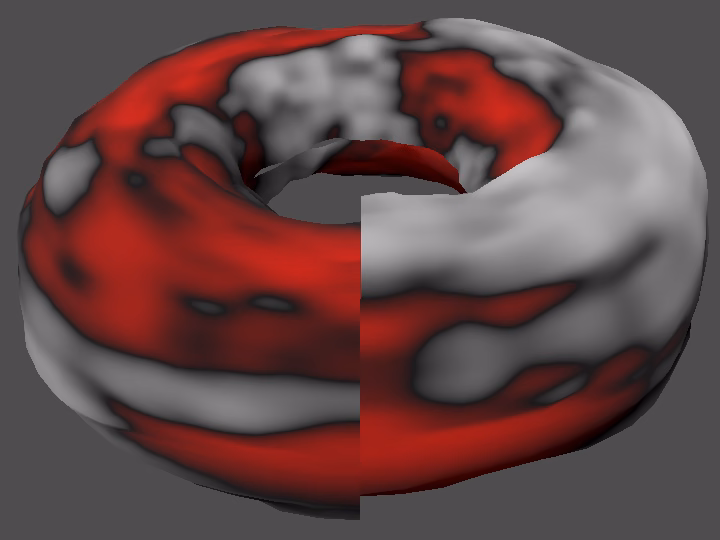 torus with seams